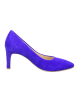 Gabor Modische Pumps für Damen in blau