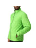 Regatta Steppjacke Hillpack in Grün