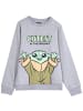 Cerda Sweatshirt Star Wars  in Grau