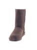 Bearpaw Stiefel Elle Short  in braun