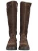 Nero Giardini Stiefel in Dunkelbraun