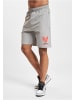 DEF DEF Mesh-Shorts in grey