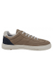 LLOYD Sneaker Edik  in Beige