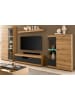Furn.Design Wohnwand in Evoke Eiche, graphit Grau 350 cm, Wohnkombination mit Soft-Close