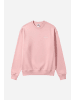 Dickies Sweatshirt 10874072498518 Rosa
