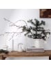 like. by Villeroy & Boch 6er Set Ornamente Stern Winter Glow beige in beige
