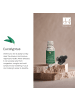Dr Botanicals Premium 5-in-1 Aromatherapie-Set mit betörendem Eukalyptus-Diffusor