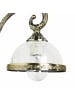 Licht-Erlebnisse Wandlampe (B)16 x (H)21 cm in Messing Klar