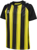 Hummel T-Shirt Raglanärmel Hmlmatch Kinder in BLAZING YELLOW/BLACK
