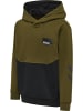 Hummel Hoodie Hmledward Hoodie in DARK OLIVE