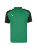 Puma Fußballtrikot TeamPACER in grün / schwarz