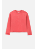 Coccodrillo Sweatshirt in rot
