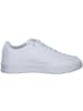 Puma Schnürschuhe in puma white-puma silver