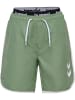 Hummel Hummel Verstellbare Taille Board Kurze Hose Hmlswell Lebensstil Jungen in HEDGE GREEN