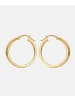 Vanlere Creolen aus 375 Gelbgold