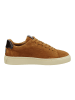 GANT Footwear Sneaker in Walnut