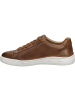 Josef Seibel Sneaker Cleve 02 in braun