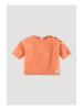 Hessnatur Shirt in clementine