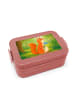 Mr. & Mrs. Panda MEPAL Bentobox Eichhörnchen Blume Design ohne S... in Rot Pastell