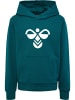 Hummel Kapuzenpullover Hmlcuatro Kinder in DEEP TEAL
