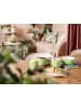 Seltmann Weiden 18er Set Frühstücks-Set Liberty Pure Colors in Lime Green