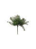 Fink Kunstblume Asparagus grün - (H) 26 cm