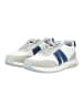ara Sneaker in Grau/Blau