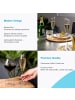 Intirilife Champagner Glas Set 150 ml Sekt Prosecco Gläser in 4x Transparent