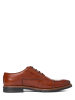 Bugatti Schnürschuh in cognac - 0002