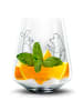 Mr. & Mrs. Panda Whiskeyglas Hase Igel ohne Spruch in Transparent