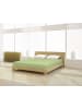 Mr.Sandman Spannbetttuch Elastan classic 120-130 x 200-220 cm in apfel