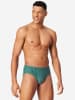 Schiesser Slip 955 Essentials in sortiert17