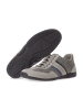 Pius Gabor Sportliche Schnürschuhe in Grau