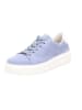 Gabor Lowtop-Sneaker in azur/weiss