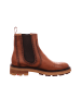 LLOYD Sneaker Low in braun
