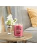 Yankee Candle Candle Signature Duftkerze große Kerze mit langer Brenndauer Black Cherry
