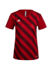 adidas Performance Fußballtrikot Entrada 22 GFX in rot