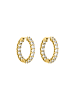 PURELEI Creolen Shimmer in Gold