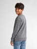 Petrol Industries Sweater mit Rundhalsausschnitt Cumberland in Schwarz