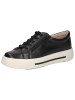 Caprice Sneaker in BLACK NAPPA