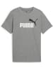 Puma T-Shirt "ESS 2 COLOR No.1 Logo Tee B" in Grau