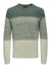 Only&Sons Dünner Langarm Strickpullover Rundhals Basic Sweater ONSPANTER in Grün