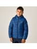 Regatta Marizion Baffle-Jacke / Steppjacke mit Kapuze in Blau