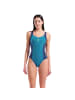 Arena einteiler Control Pro Back Solid  in Blau