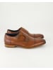 Daniel Kenneth Anzug- & Businessschuhe in Braun