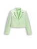Coccodrillo Sakko in zartgrün
