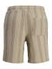 Jack & Jones Shorts in Seneca Rock