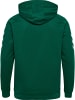 Hummel Baumwoll-Hoodie Hmlgo Cotton Hoodie in EVERGREEN