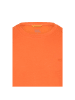 Camel Active T-Shirt in burned orange