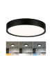 paulmann Selection Bathroom LED Deckenleuchte Tega